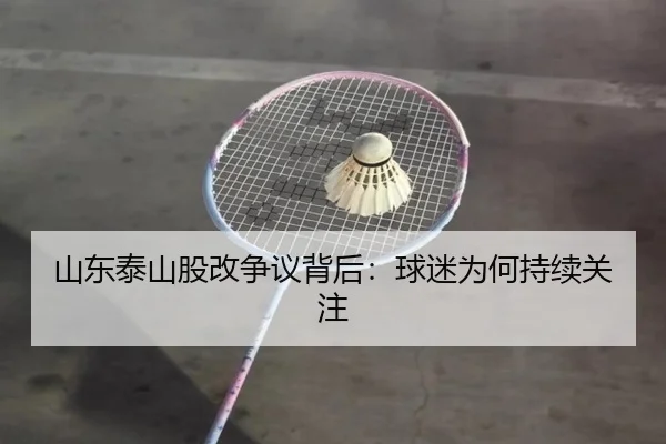 山东泰山股改争议背后：球迷为何持续关注 | hth